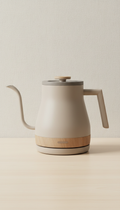 Compact Steamer With Foldaway Handle